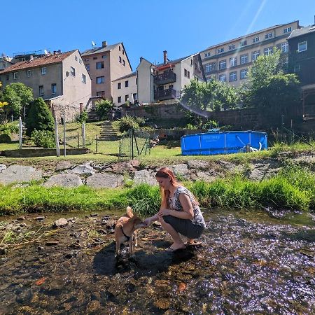 Urlaubstraum Mit Pool, Terrasse & Fluss Im Garten - Ut Apartment Sebnitz Bagian luar foto