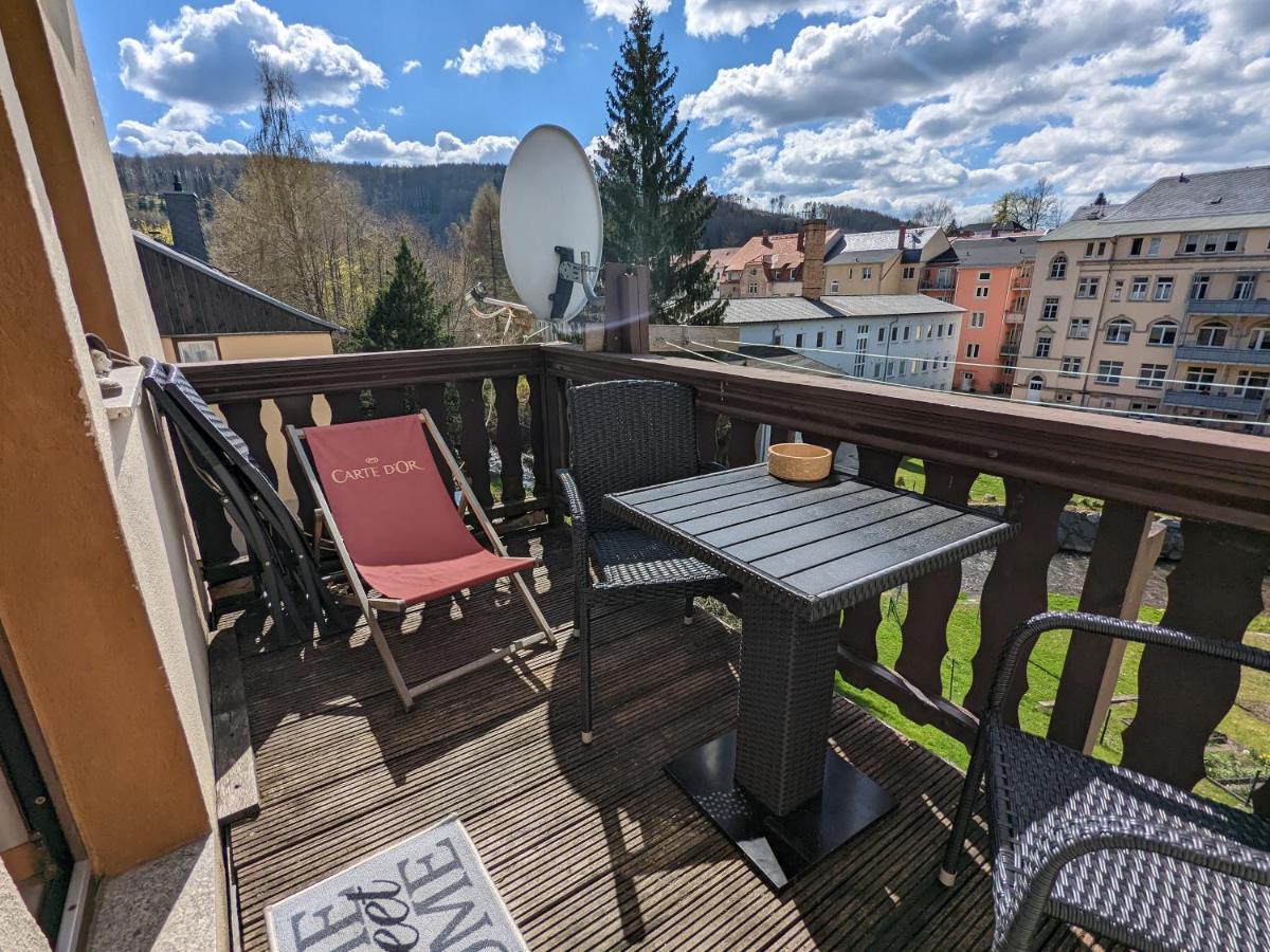 Urlaubstraum Mit Pool, Terrasse & Fluss Im Garten - Ut Apartment Sebnitz Bagian luar foto