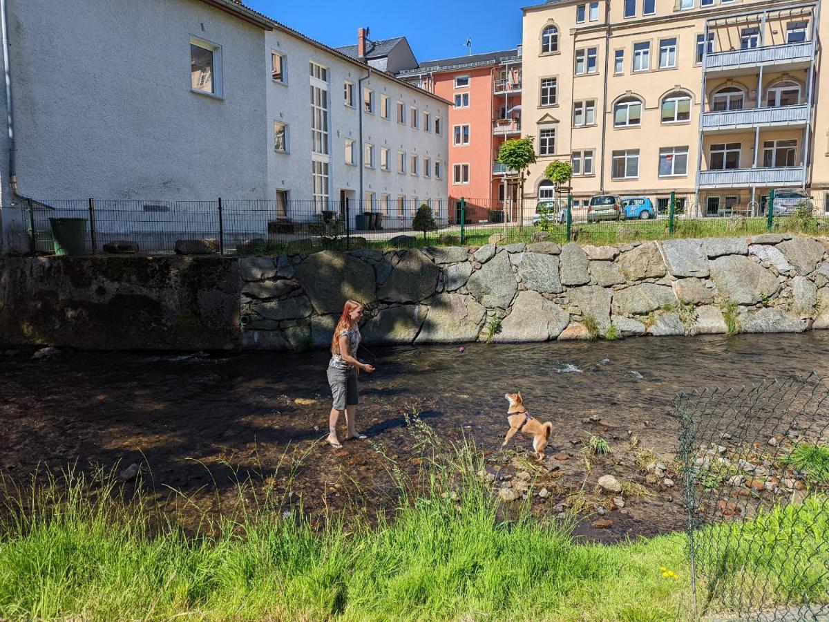 Urlaubstraum Mit Pool, Terrasse & Fluss Im Garten - Ut Apartment Sebnitz Bagian luar foto