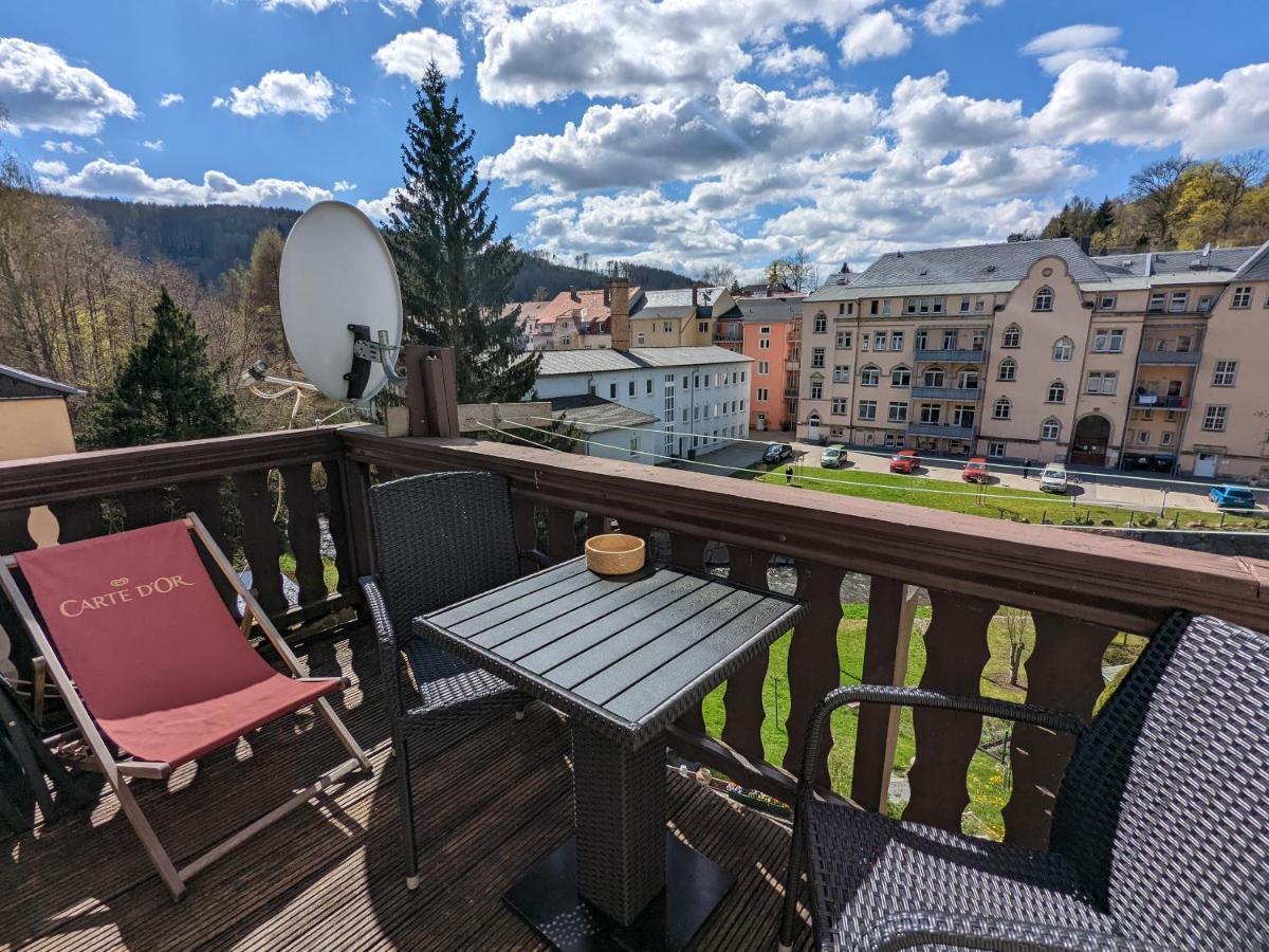Urlaubstraum Mit Pool, Terrasse & Fluss Im Garten - Ut Apartment Sebnitz Bagian luar foto