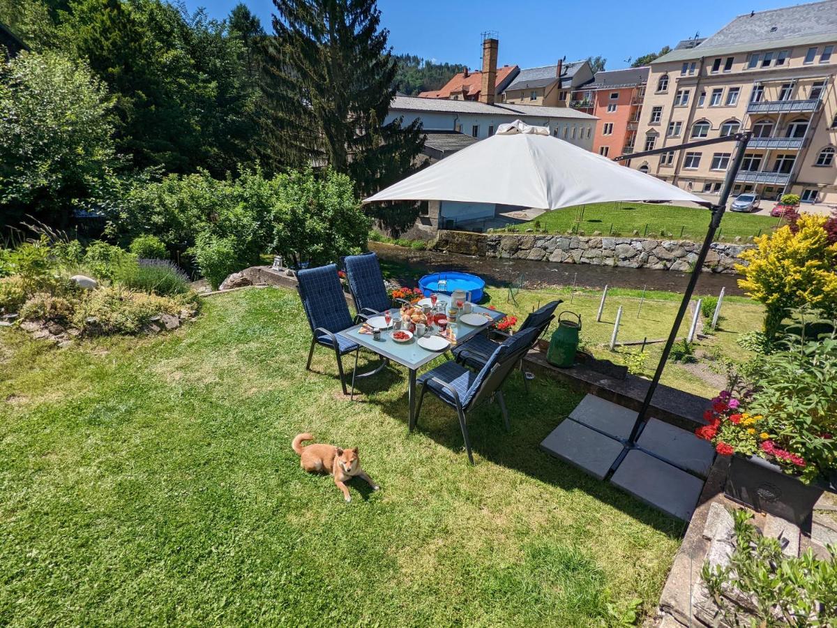 Urlaubstraum Mit Pool, Terrasse & Fluss Im Garten - Ut Apartment Sebnitz Bagian luar foto