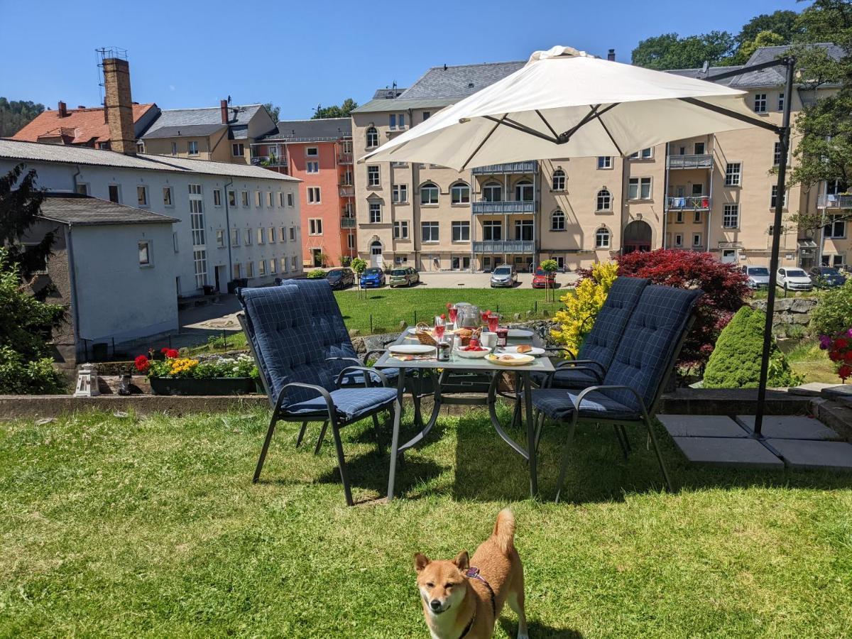 Urlaubstraum Mit Pool, Terrasse & Fluss Im Garten - Ut Apartment Sebnitz Bagian luar foto