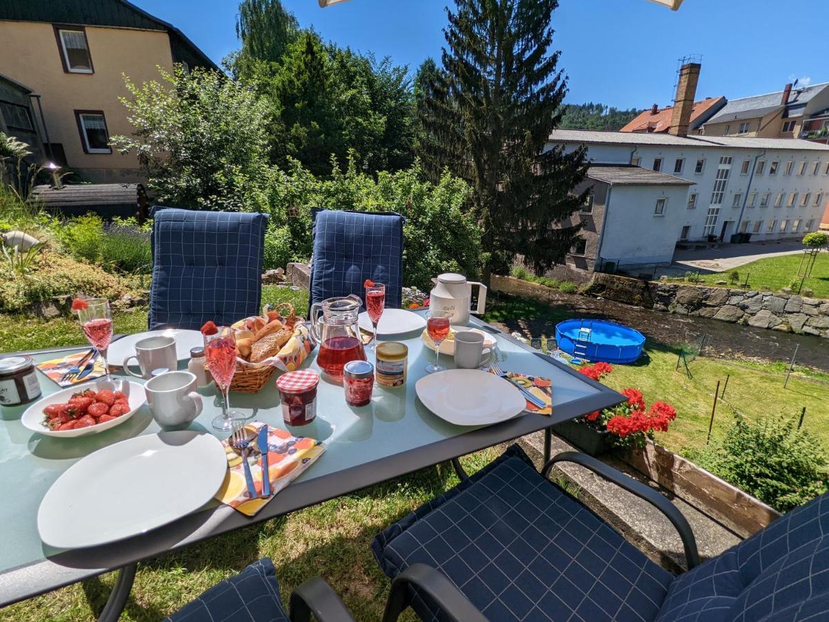 Urlaubstraum Mit Pool, Terrasse & Fluss Im Garten - Ut Apartment Sebnitz Bagian luar foto