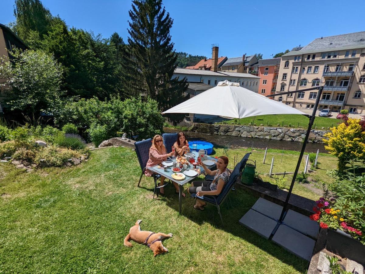 Urlaubstraum Mit Pool, Terrasse & Fluss Im Garten - Ut Apartment Sebnitz Bagian luar foto